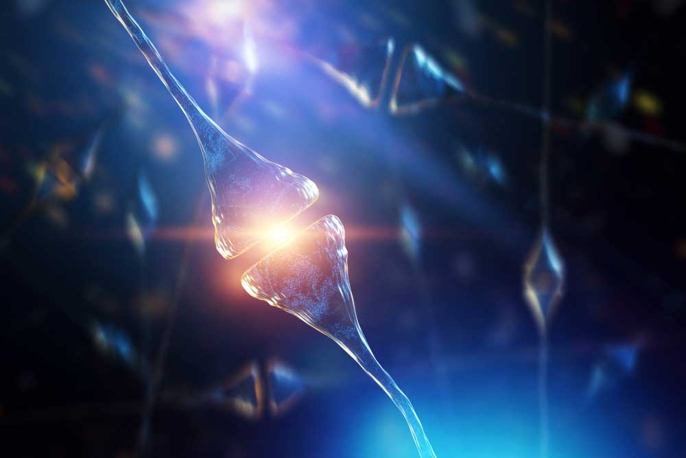 synapse-neurons-human-brain.jpg